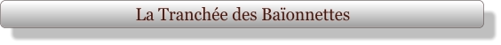 La Tranchée des Baïonnettes