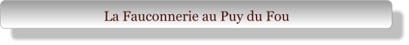 La Fauconnerie au Puy du Fou