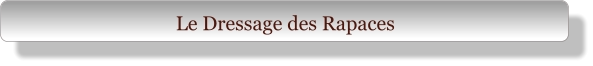 Le Dressage des Rapaces