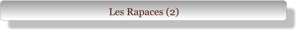 Les Rapaces (2)