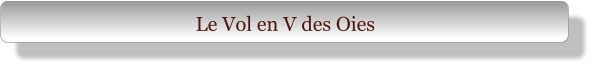 Le Vol en V des Oies