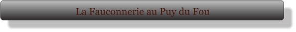 La Fauconnerie au Puy du Fou