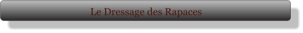 Le Dressage des Rapaces