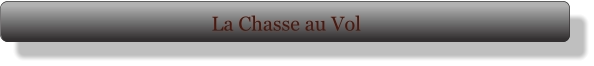 La Chasse au Vol