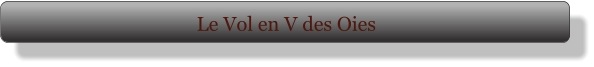 Le Vol en V des Oies