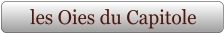 les Oies du Capitole