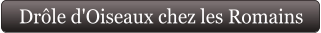 Drôle d'Oiseaux chez les Romains