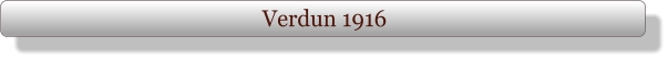 Verdun 1916