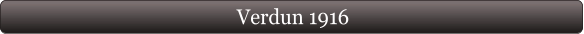 Verdun 1916