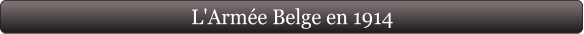 L'Armée Belge en 1914