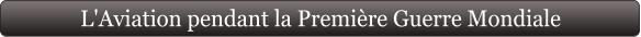 L'Aviation pendant la Première Guerre Mondiale