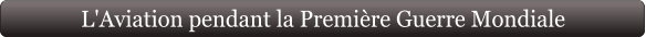 L'Aviation pendant la Première Guerre Mondiale