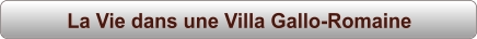 La Vie dans une Villa Gallo-Romaine
