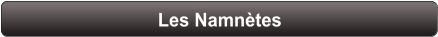 Les Namnètes