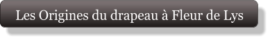 Les Origines du drapeau à Fleur de Lys