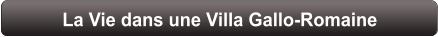La Vie dans une Villa Gallo-Romaine
