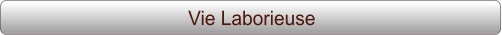 Vie Laborieuse