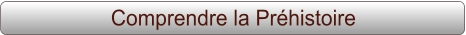 Comprendre la Préhistoire
