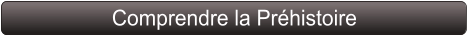 Comprendre la Préhistoire