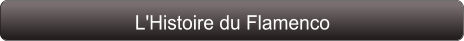 L'Histoire du Flamenco