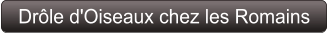 Drôle d'Oiseaux chez les Romains