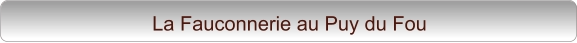 La Fauconnerie au Puy du Fou