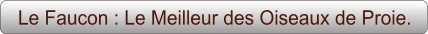 Le Faucon : Le Meilleur des Oiseaux de Proie.