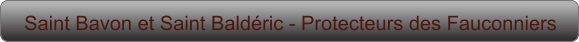 Saint Bavon et Saint Baldéric - Protecteurs des Fauconniers