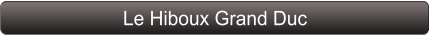 Le Hiboux Grand Duc