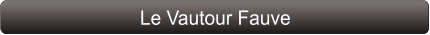 Le Vautour Fauve