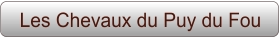 Les Chevaux du Puy du Fou