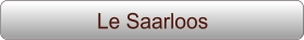 Le Saarloos