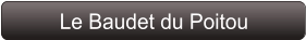 Le Baudet du Poitou