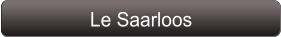Le Saarloos