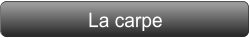 La carpe