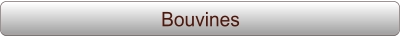 Bouvines