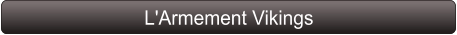 L'Armement Vikings