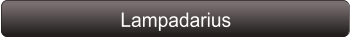 Lampadarius