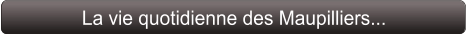 La vie quotidienne des Maupilliers...