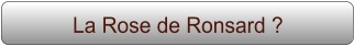 La Rose de Ronsard ?