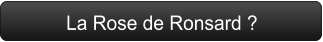 La Rose de Ronsard ?