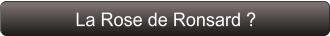 La Rose de Ronsard ?