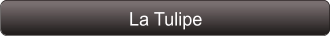 La Tulipe