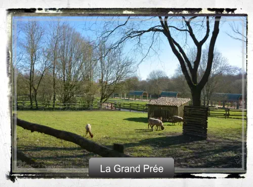 La Grand Prée La Grand Prée