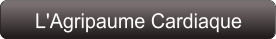 L'Agripaume Cardiaque