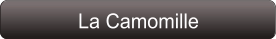 La Camomille