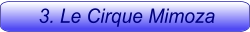 3. Le Cirque Mimoza