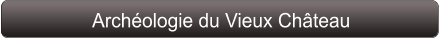 Archéologie du Vieux Château