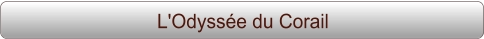 L'Odyssée du Corail