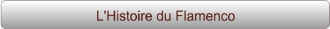 L'Histoire du Flamenco